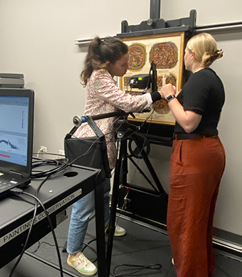 X-ray fluorescence (XRF) mapping revealed the presence of mordants and other elements related to specific dyes.